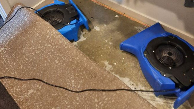 Water damage restoration specialists services in adelaide
